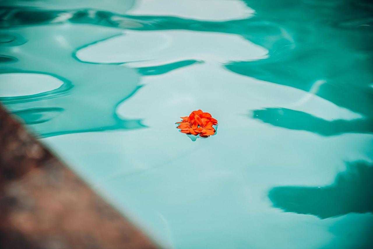 Hotel Solotvyno Resort Zewnętrze zdjęcie
